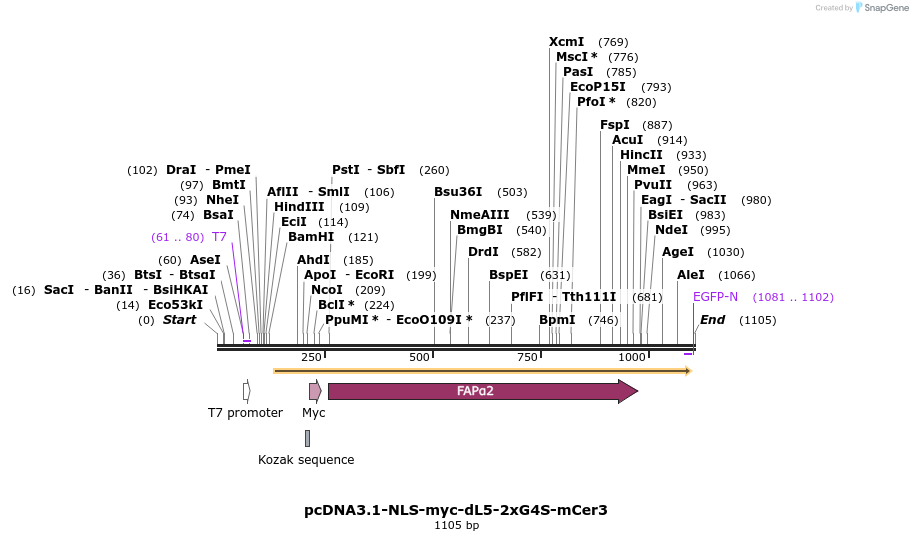 139717_map