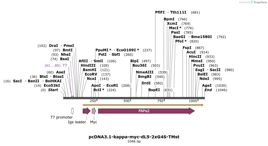 139719_map