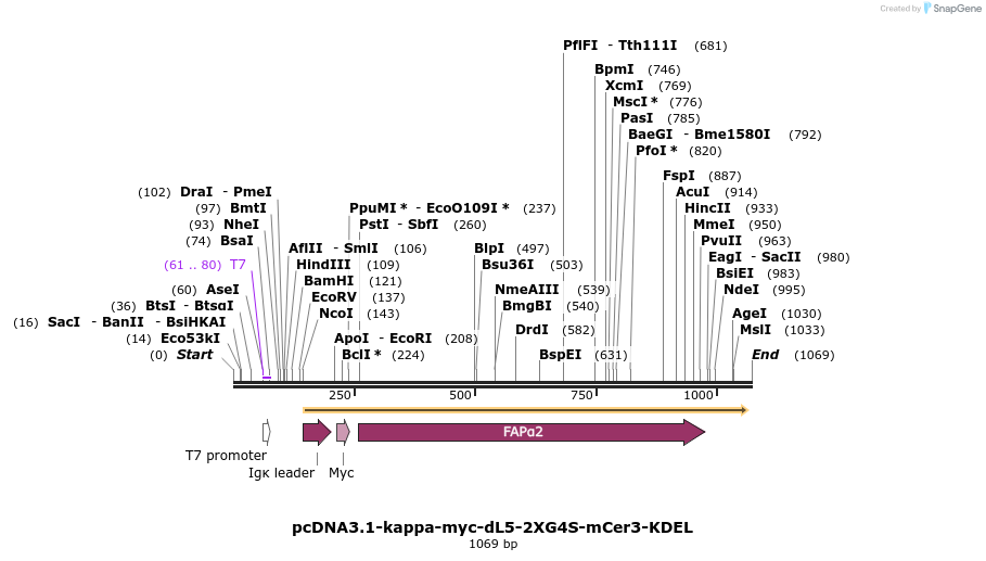 139729_map