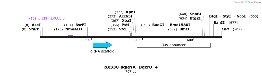 139739_map