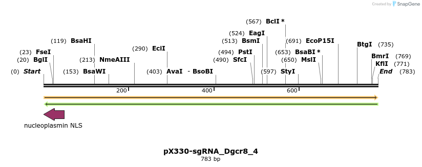 139741_map