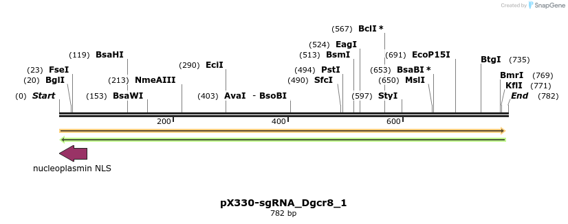 139743_map