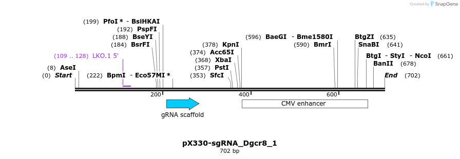 139744_map