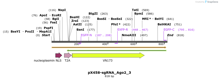 139761_map