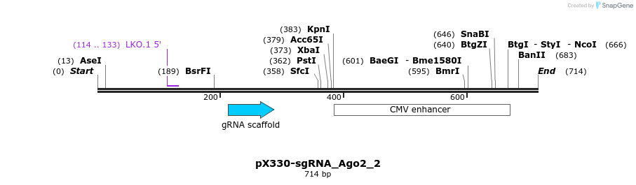 139769_map
