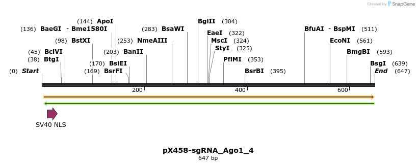 139776_map