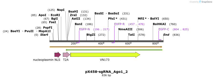 139779_map