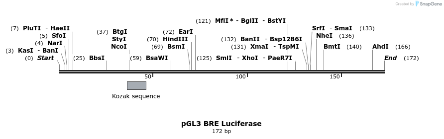 139786_map