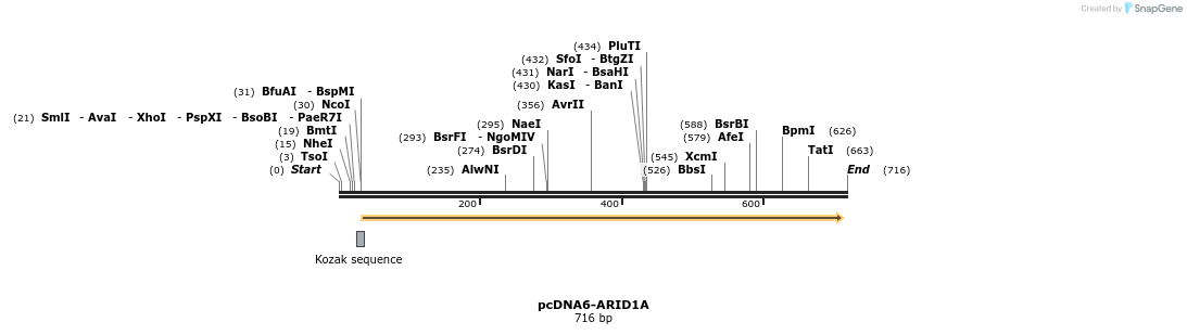 139787_map