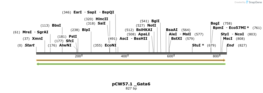 139790_map