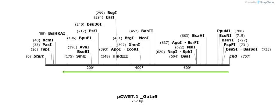 139791_map