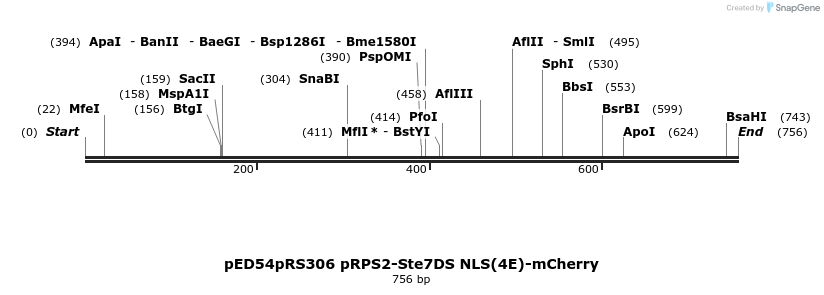 139795_map