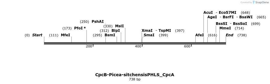 139812_map