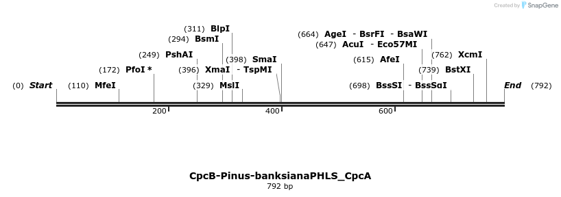 139815_map