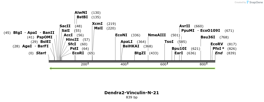 139819_map