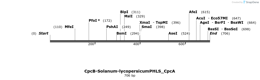 139821_map