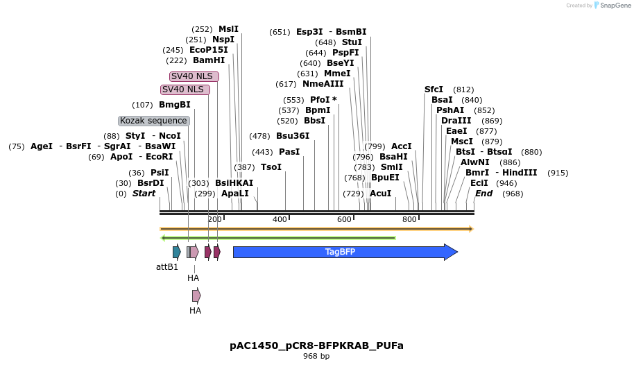 139829_map