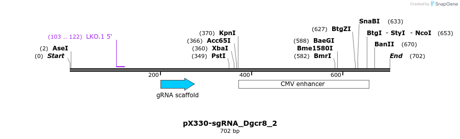 139837_map
