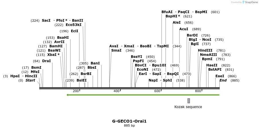139842_map