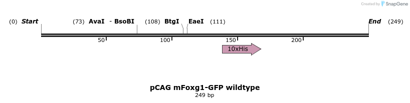 139845_map