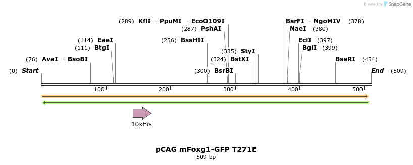 139849_map