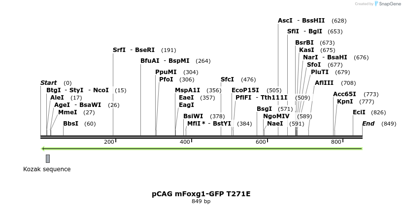 139850_map