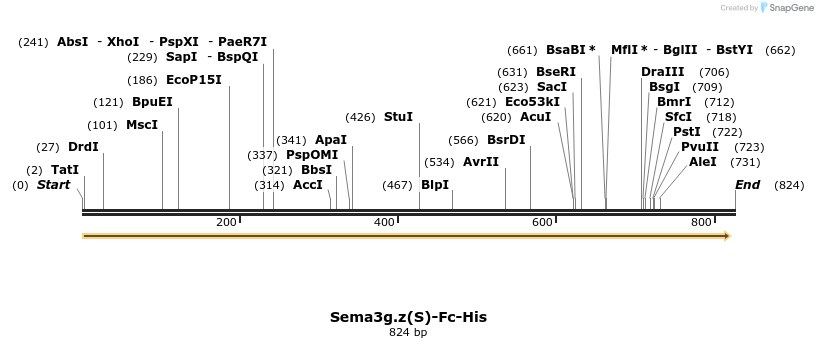 139857_map