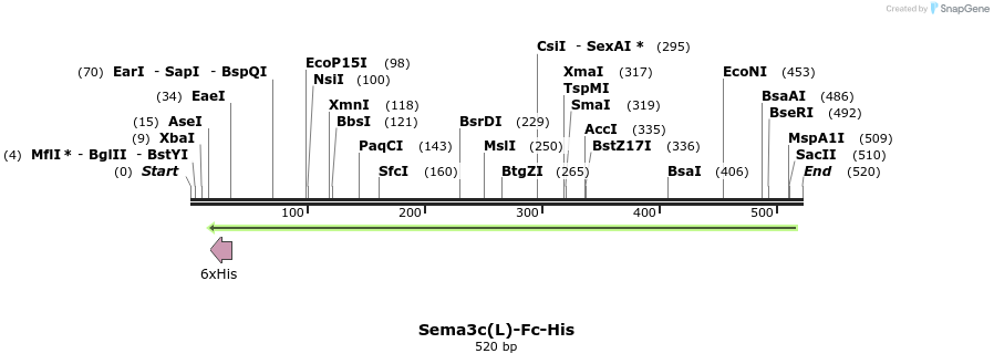 139863_map