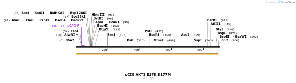 139865_map