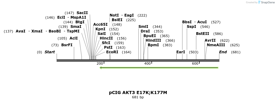 139866_map