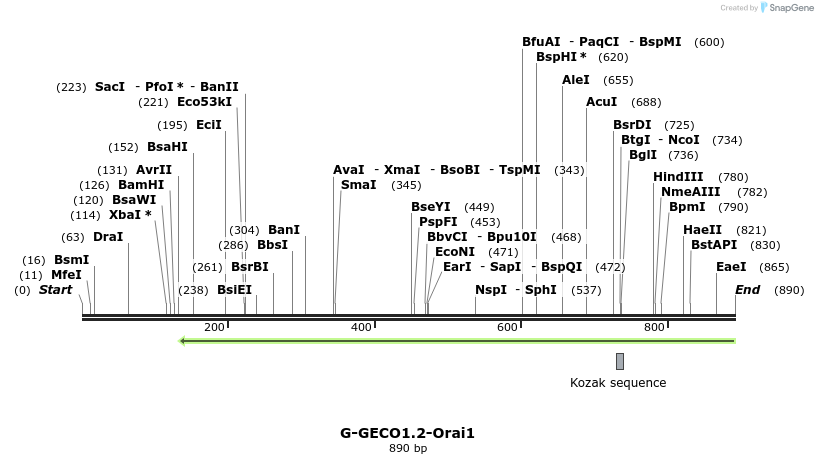 139869_map