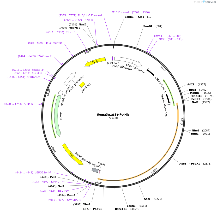 139871_map