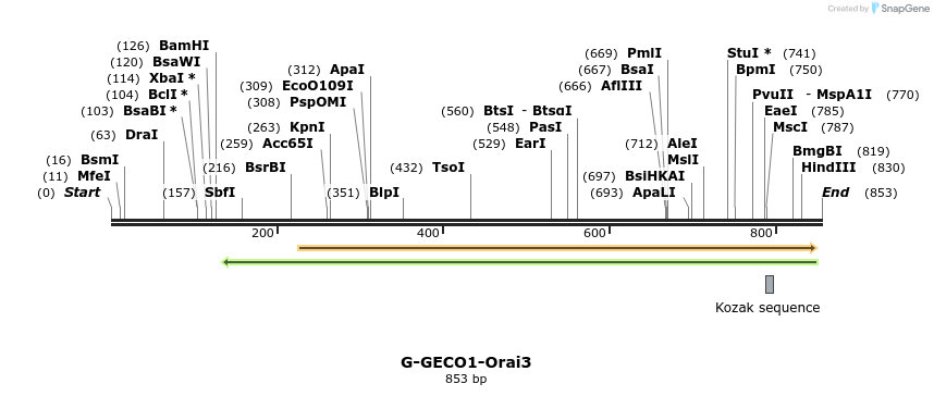 139873_map