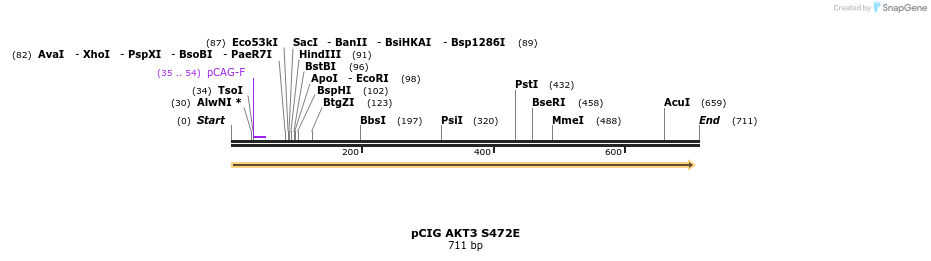 139875_map