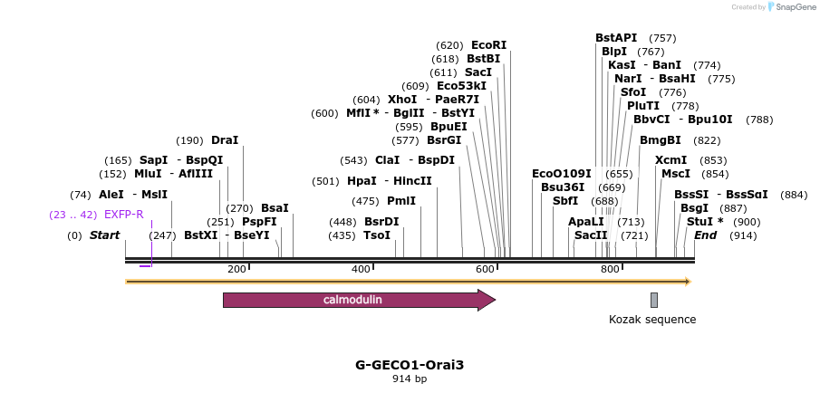 139878_map