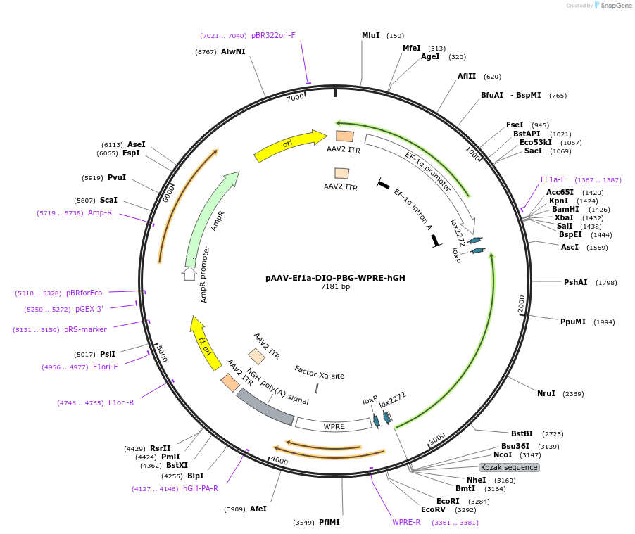 139879_map