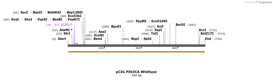 139882_map