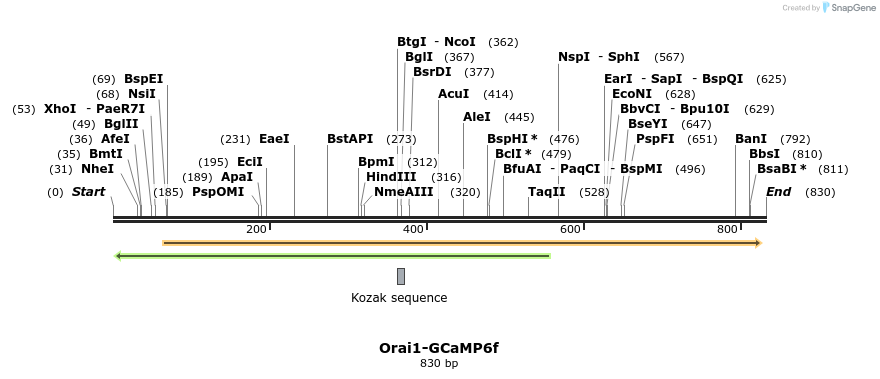 139883_map