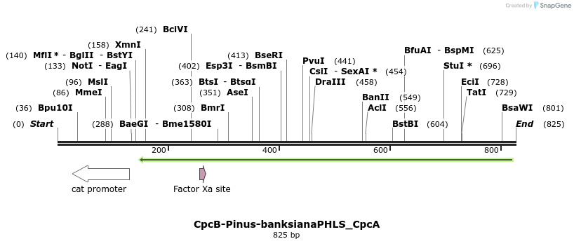 139888_map