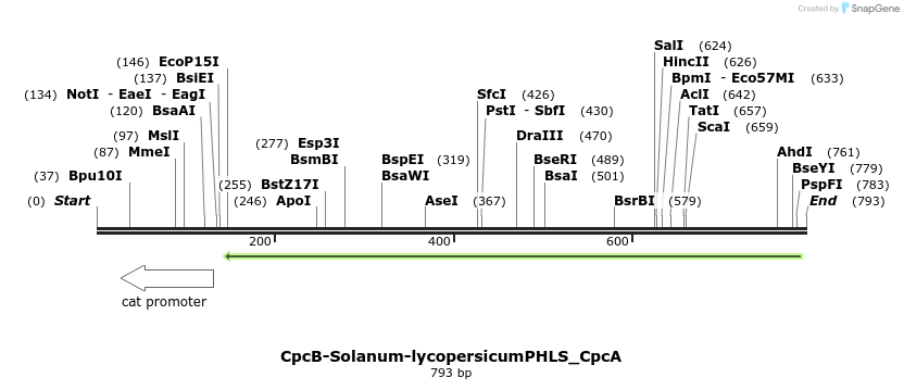 139890_map