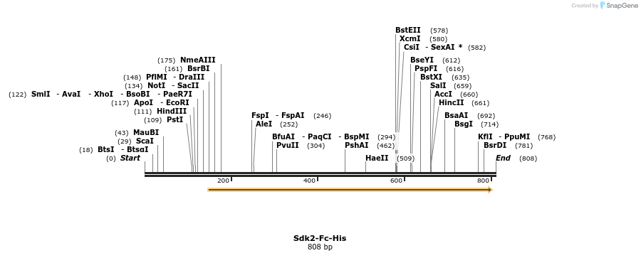 139892_map