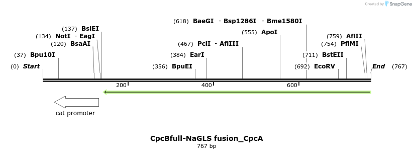 139893_map