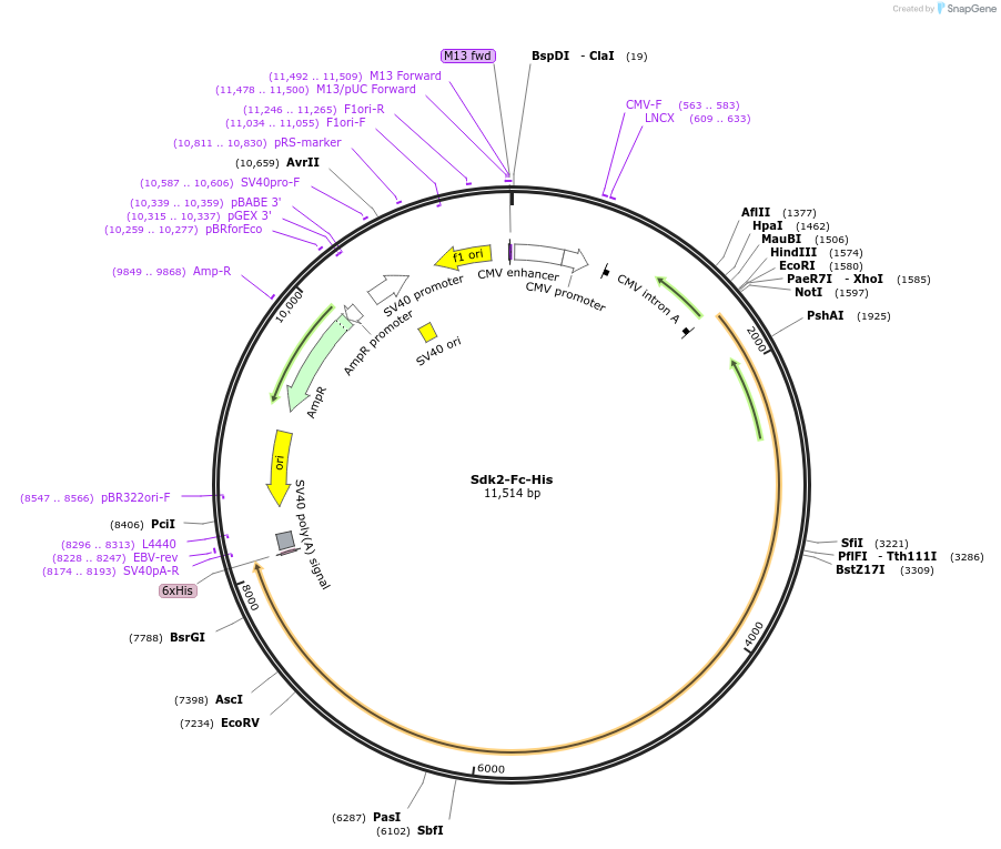 139894_map