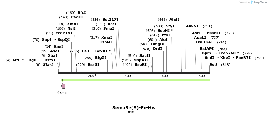 139897_map