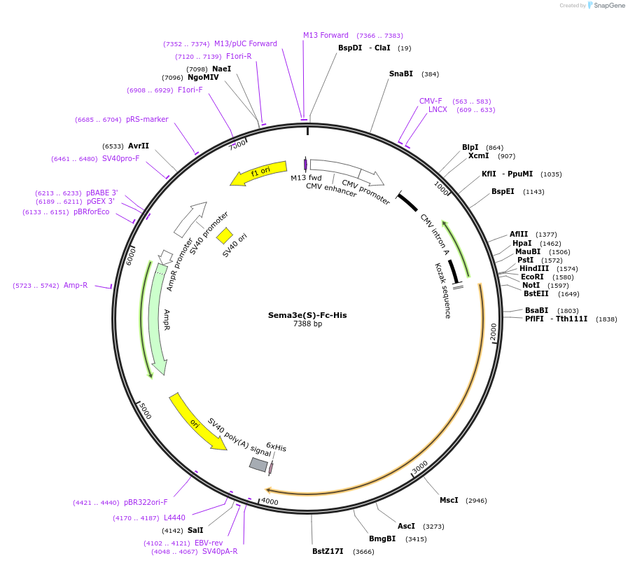 139898_map