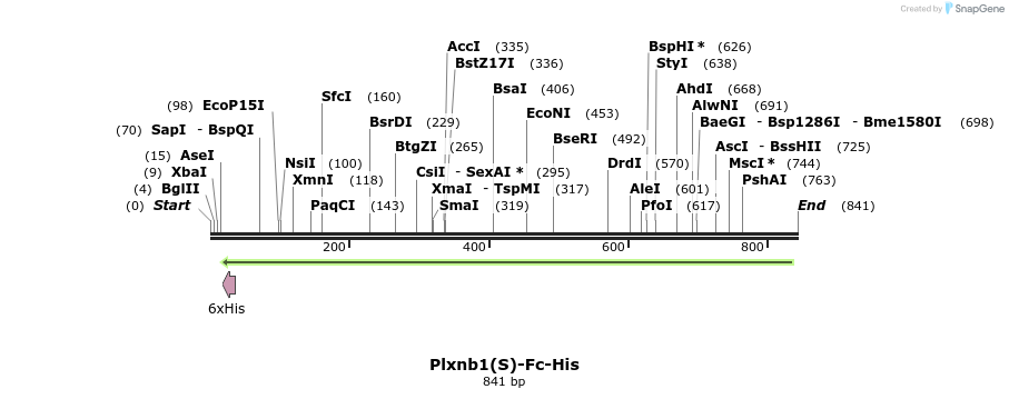 139902_map