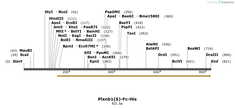139903_map