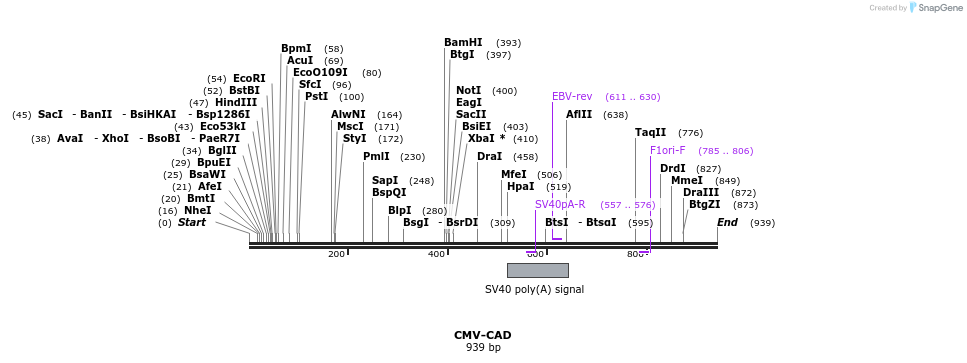 139905_map