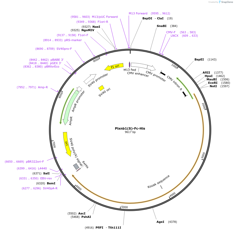139906_map
