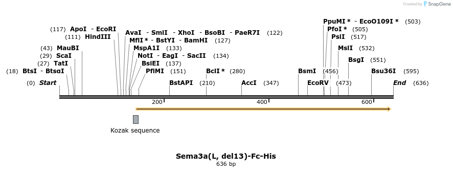 139909_map